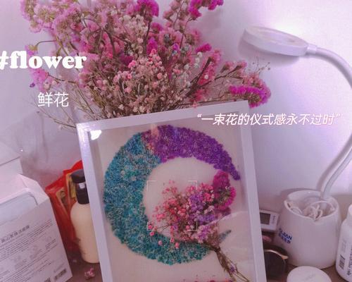 满天星的保存和繁殖方法（探寻满天星的保存之道）