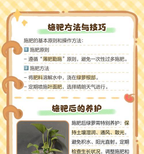 秋天怎么养绿萝（绿萝养护指南，让你的绿萝在秋天焕发生机）