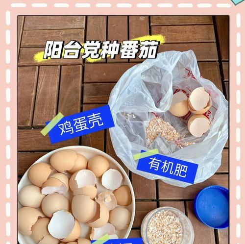 蛋壳肥料的制作与应用(简单环保的废弃蛋壳再利用方法)
