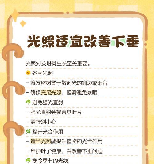 发财树为什么冬天会掉叶子？（发财树冬季叶子掉落的原因及应对方法）