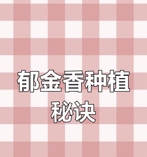 郁金香种植指南（从种子到鲜花，一步步教你如何成功种植郁金香）