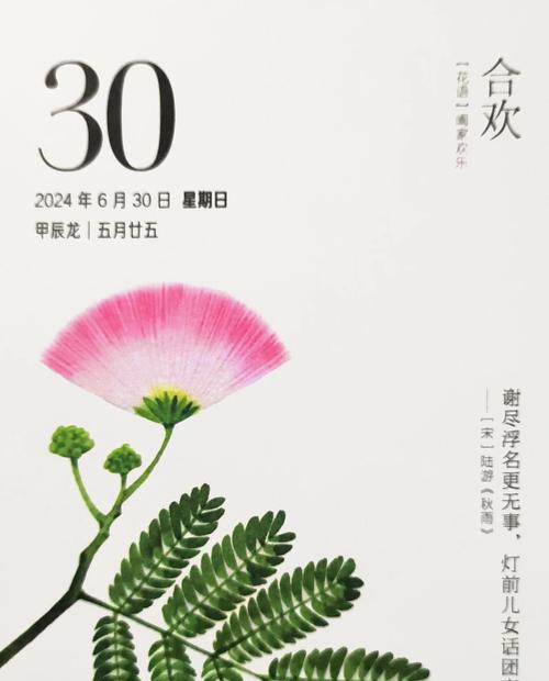 合欢花的花期和花语（一年开几次花？几月份开花最美？）