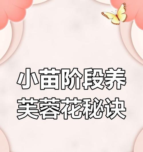 芙蓉花养殖技巧大揭秘(打造繁花似锦的芙蓉花园,一起来学习养殖技巧吧!)