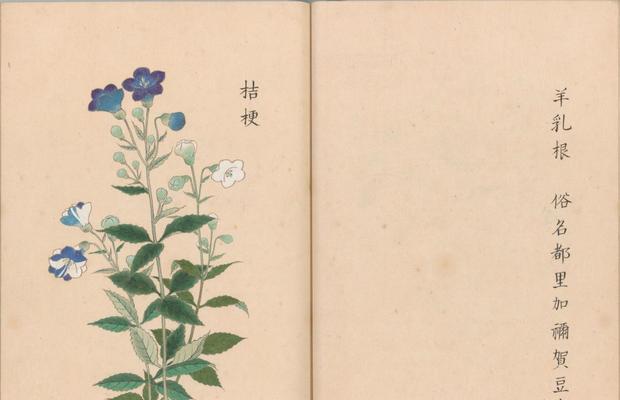 宣纸画小草的艺术之旅（唐笔墨情，宣纸微雨间的小草世界）