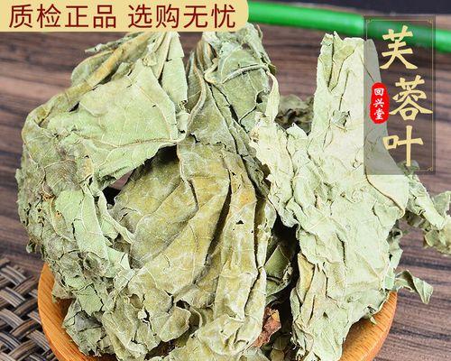 芙蓉花叶子变黄了怎么办？（探索黄叶背后的原因及处理方法）