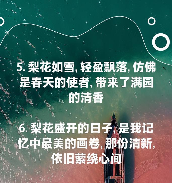 梨花之美（探究梨花的外貌和独特特点，感受其娇柔、清雅和淡然）